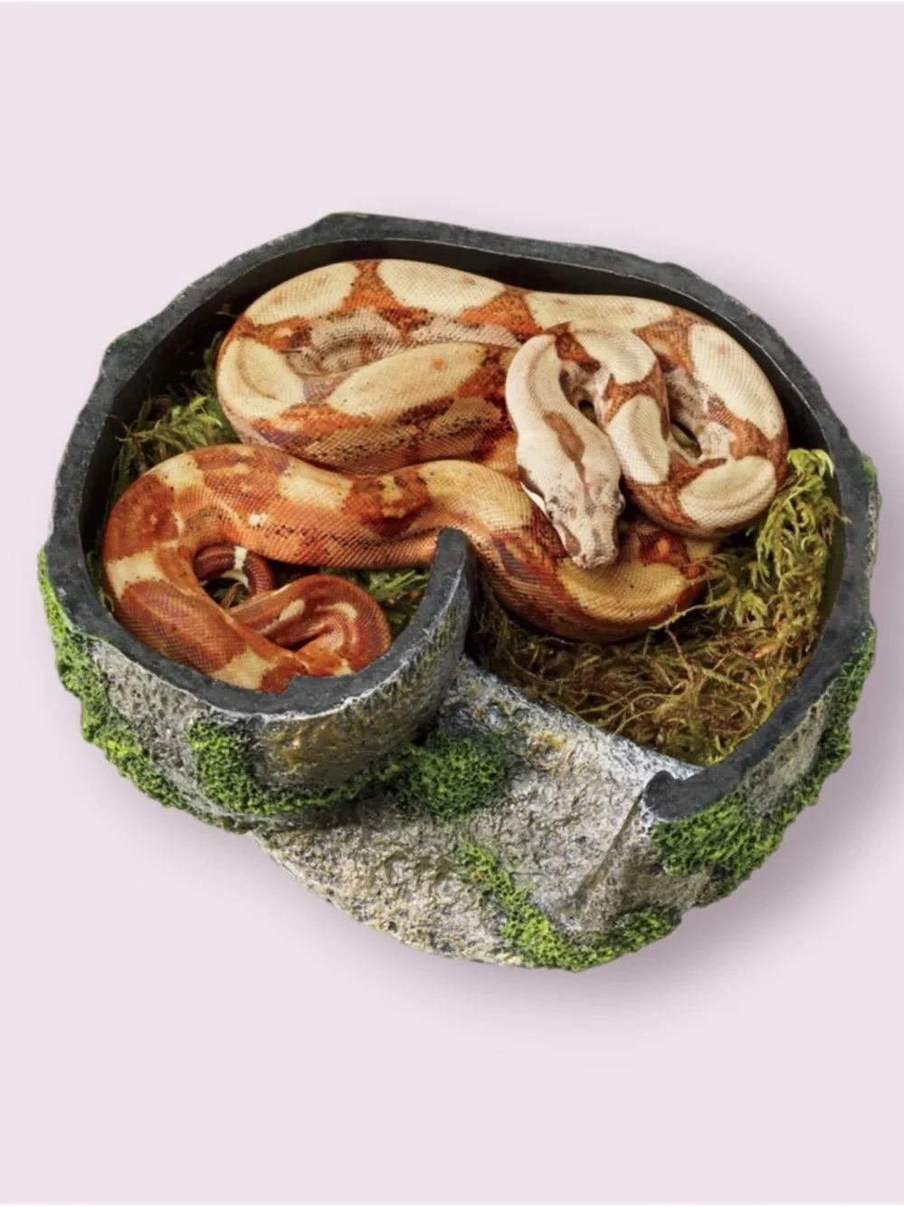 Zilla Rock Lair for Reptiles - Small